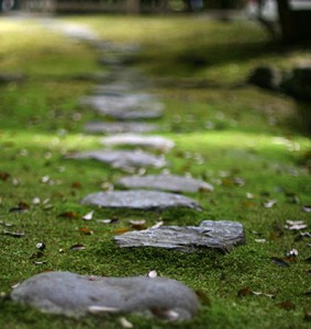 stone-path